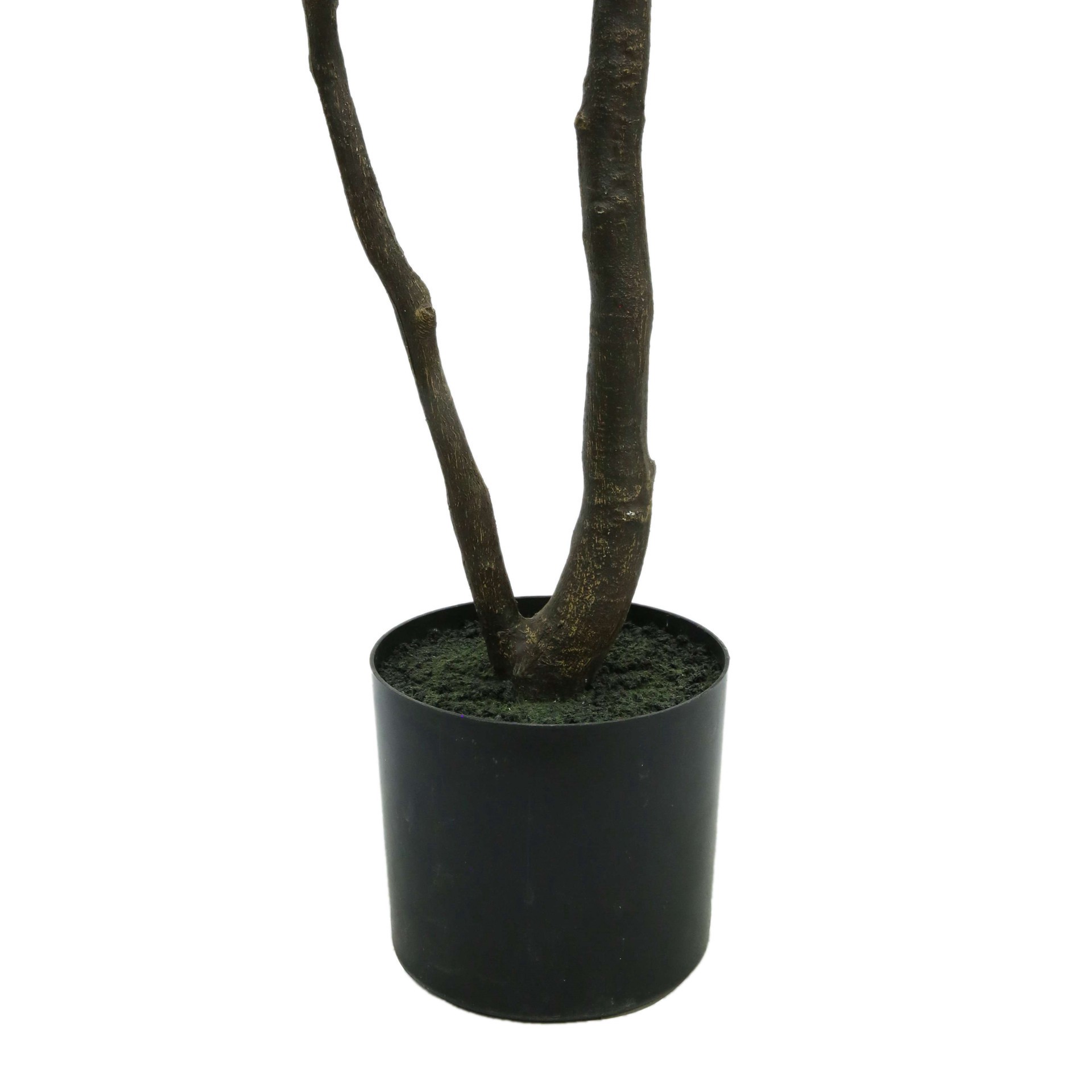 slide 3 of 4, 5.75 ft. Cream Blossom Tree by Ashland, 5.75 ft