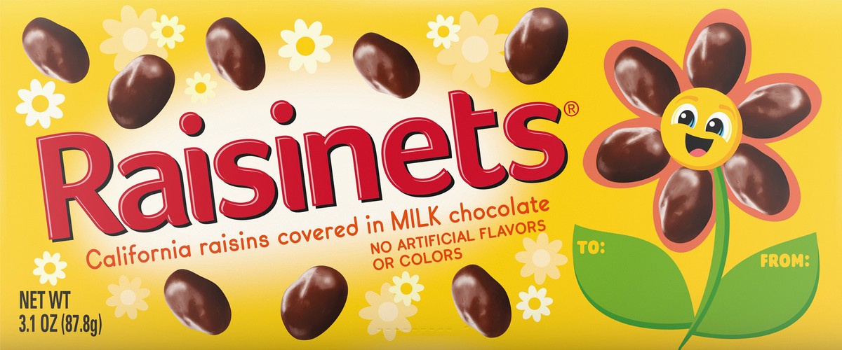 slide 11 of 13, Raisinets RAISINET CONCESSION CARTON 164969 - ESTR - US50BL 3.1oz, 3.1 oz