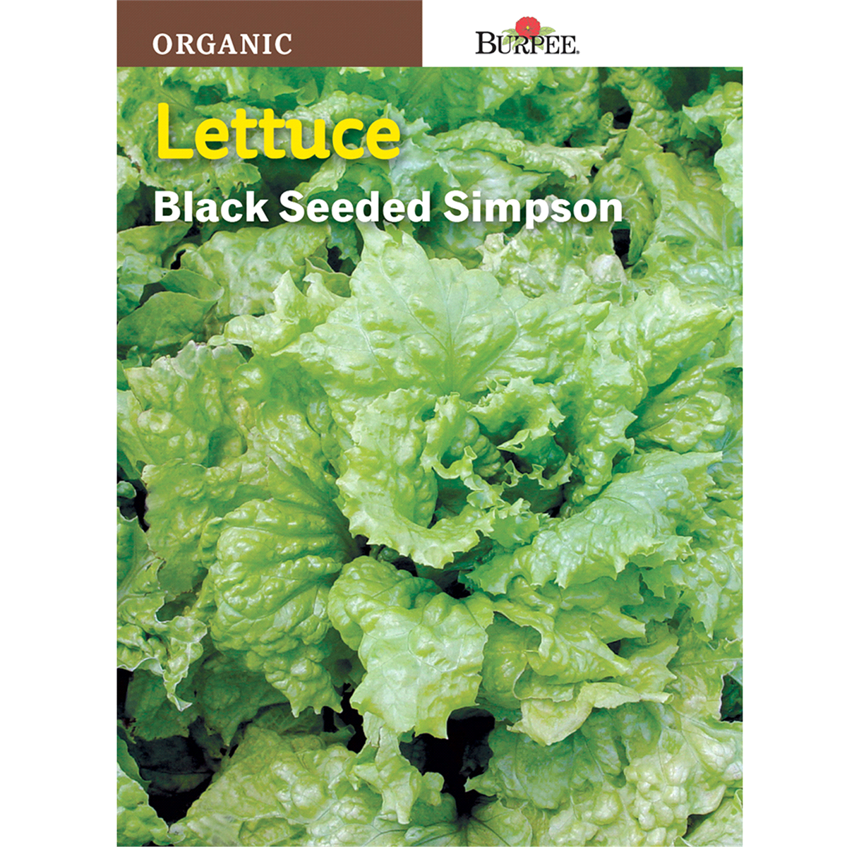 slide 1 of 1, Burpee Black Seeded Simpson Lettuce Seeds, 1 ct