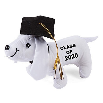 slide 1 of 1, Fun Express Class Of 2020 Graduation Autograph Dog, 1 ct