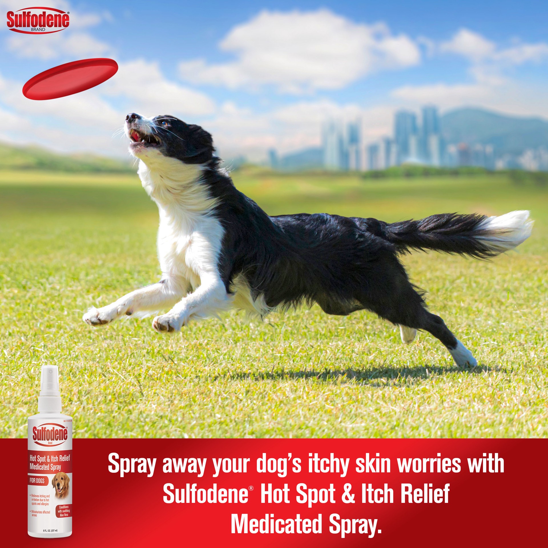 slide 3 of 8, Sulfodene Hot Spot & Itch Relief Medicated Spray for Dog 8oz, 1 ct