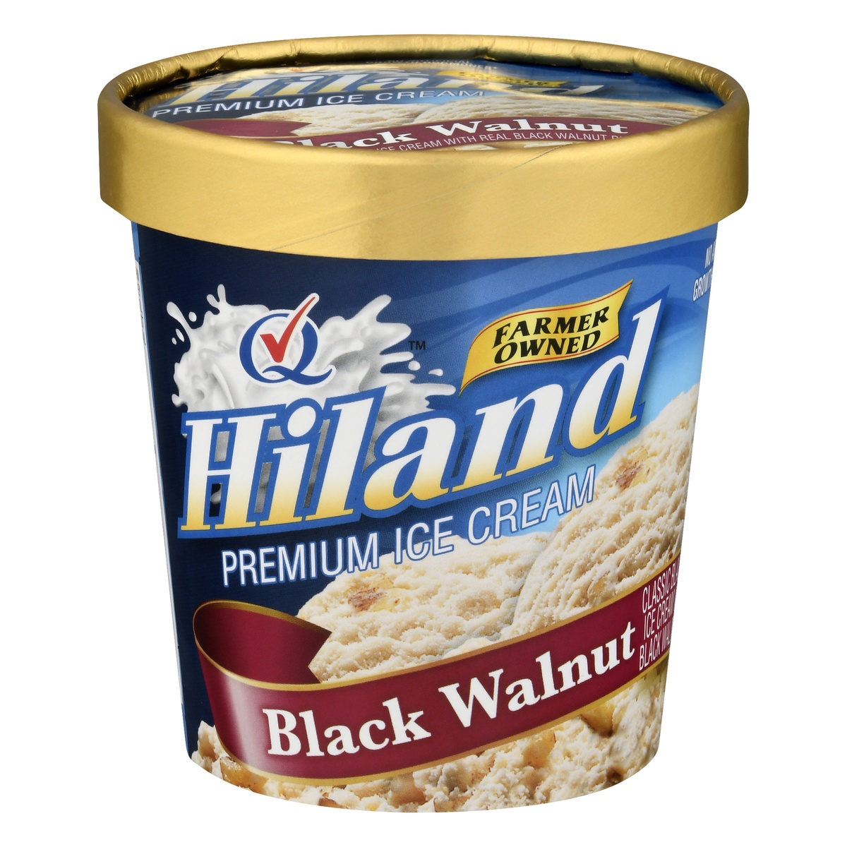 slide 1 of 1, Hiland Dairy Premium Ice Cream Black Walnut, 1 pint