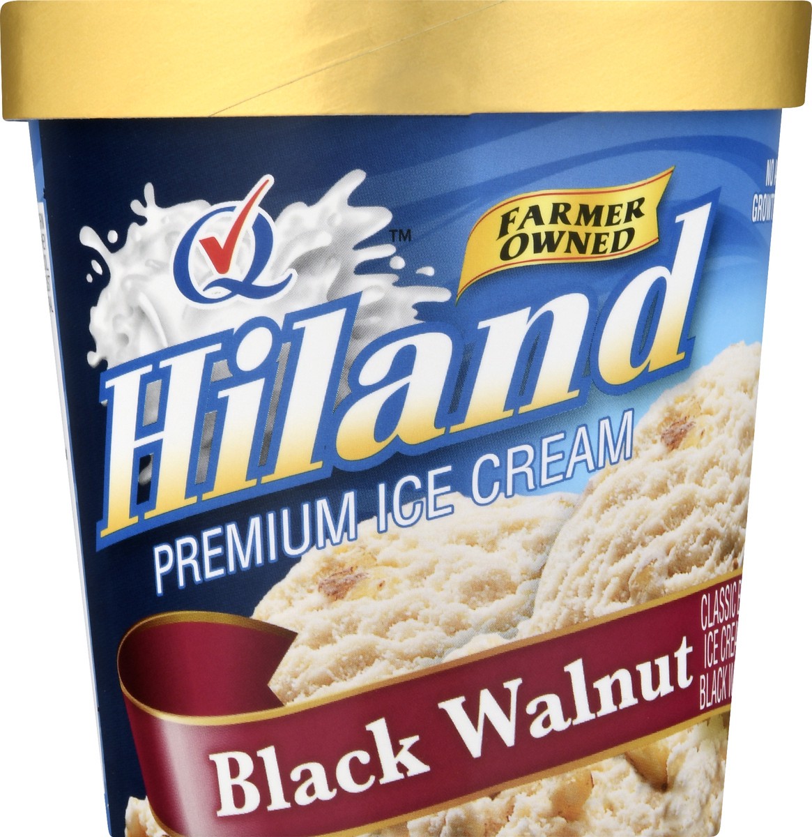 slide 1 of 13, Hiland Dairy Premium Black Walnut Ice Cream 1 pt, 1 pint