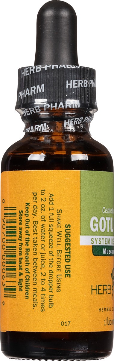 slide 6 of 10, Herb Pharm Gotu Kola Extract, 1 oz