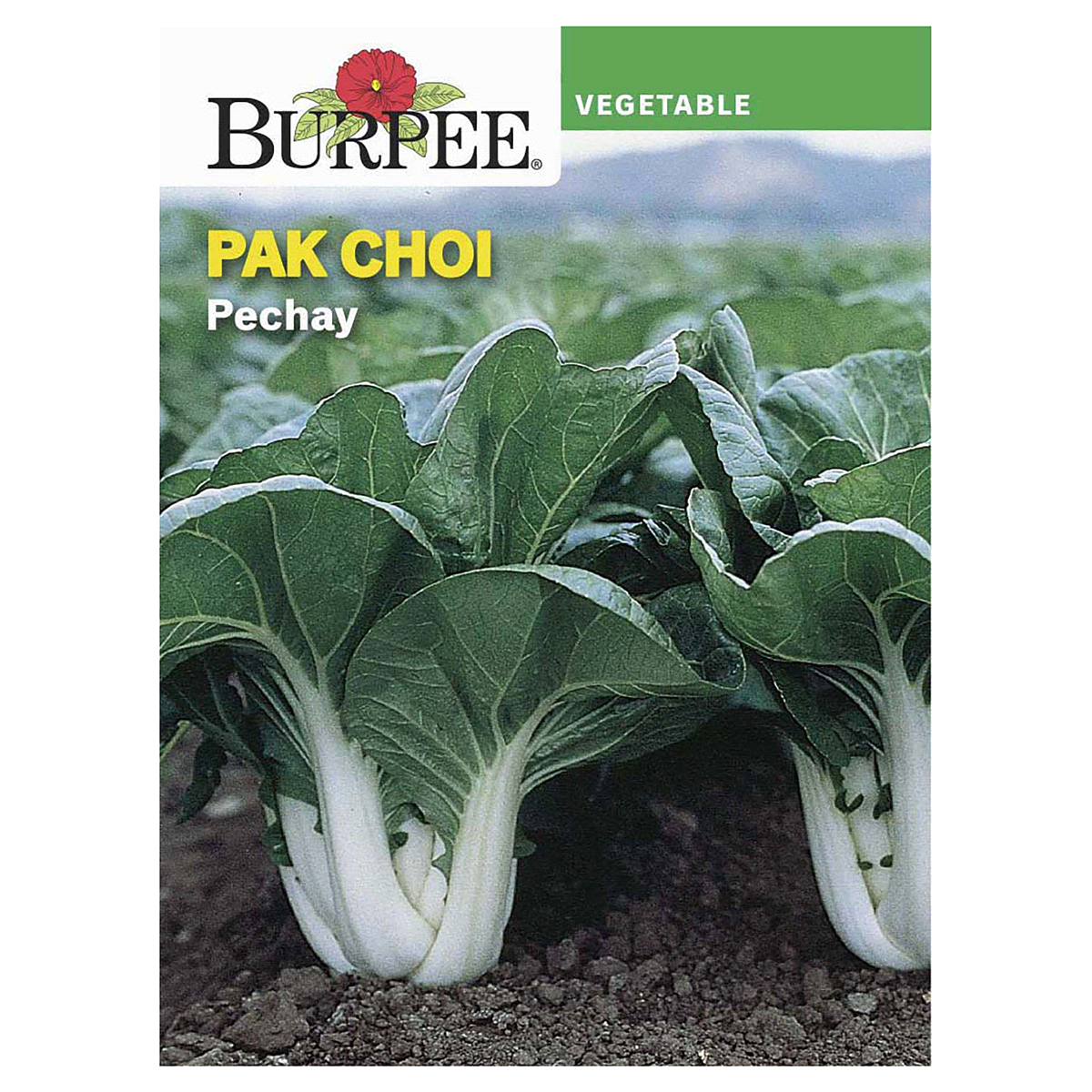 slide 1 of 1, Burpee International Collection Asian Pechay Pak Choi Seeds, 1 ct