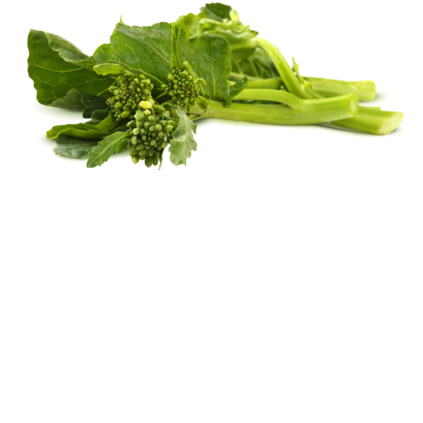 slide 1 of 1, Mustard Kai Choi Cabbage, 1 ct