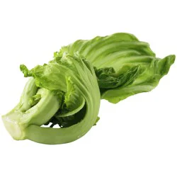 Mustard Kai Choi Cabbage