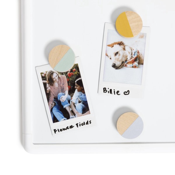 slide 3 of 4, U Brands® California Wildflowers Locker Magnets, 1-1/4""H x 1-1/4""W x 5/16""D, Multicolor, Set Of 4 Magnets, 1 ct