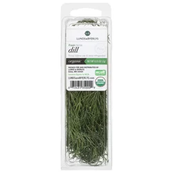 Lunds & Byerlys Organic Dill 0.25 oz