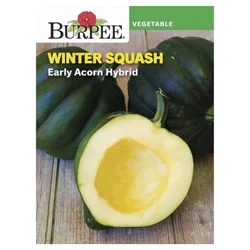Burpee Winter Squash Early Acorn Hybrid Seeds
