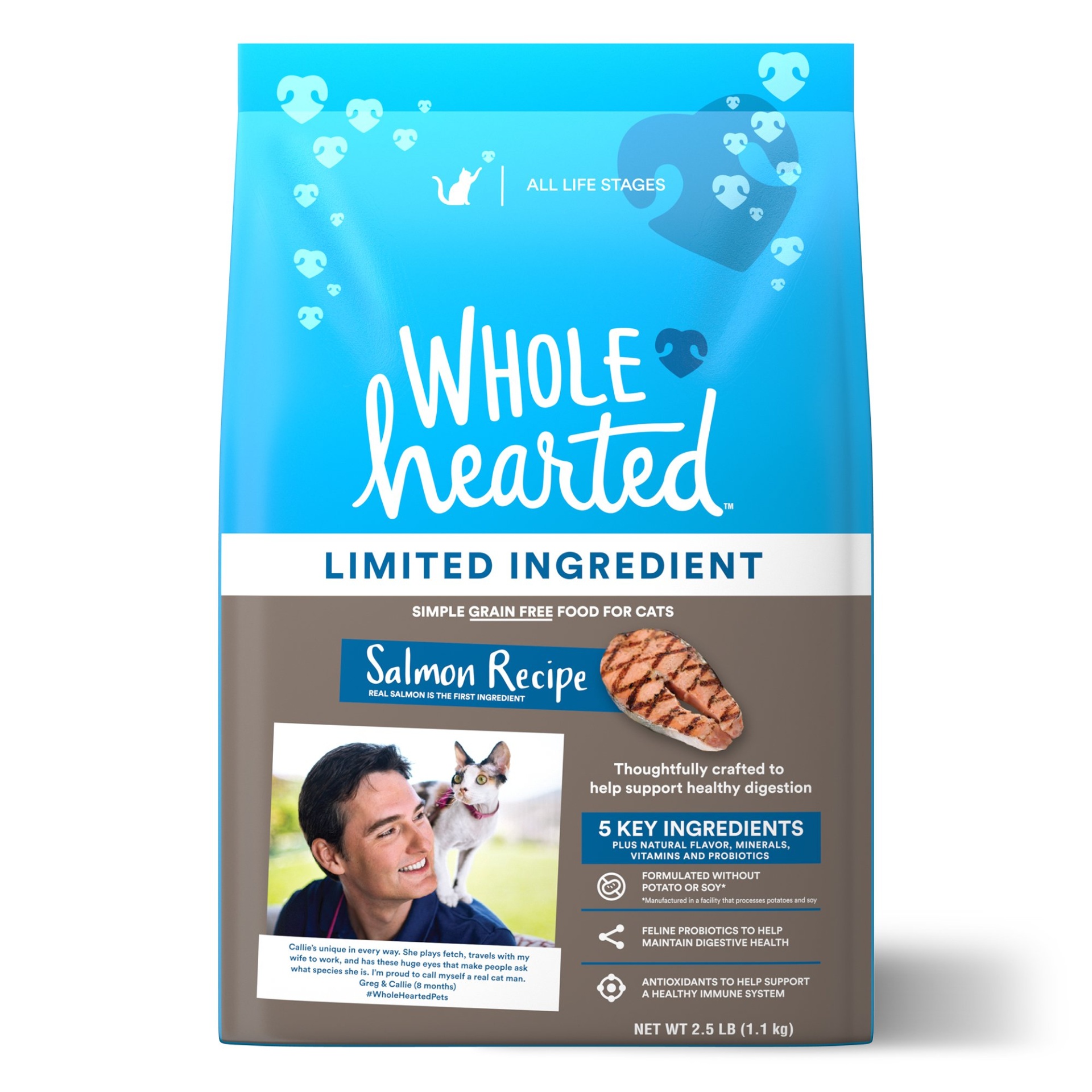 slide 1 of 1, WholeHearted Grain Free Limited Ingredient Salmon Recipe Dry Cat Food for All Life Stages, 2.5 lb