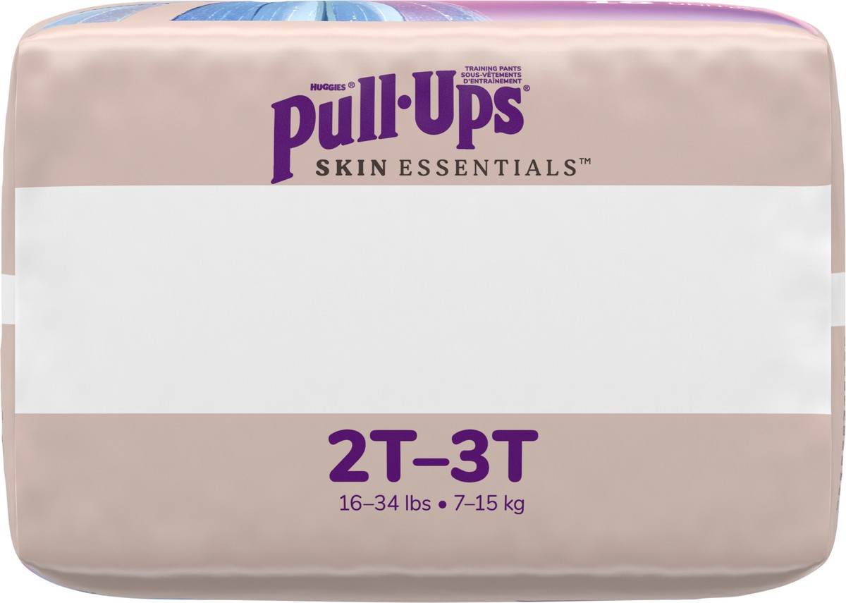 slide 2 of 12, Pull-Ups 2T-3T Girl Skin Essentials Frzn, 18 ct