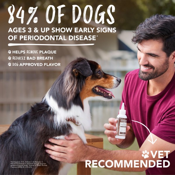 slide 4 of 10, TropiClean® Enticers Teeth Cleaning Gel Refills For Kong® Dental Ball (Ball Sold Separately), 3 ct