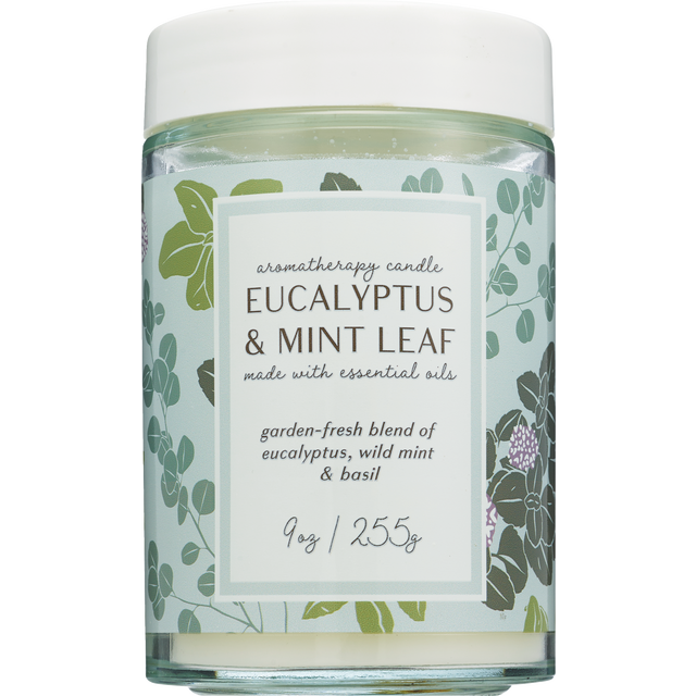 slide 1 of 1, NORTHERN LIGHTS Aromatherapy Jar Eucalyptus Mntleaf, 1 ct