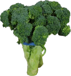 Broccoli Crowns