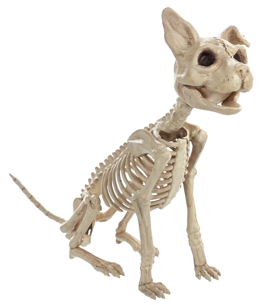 slide 1 of 1, Holiday Home Skeleton Sitting Cat Decor, 8.25 in