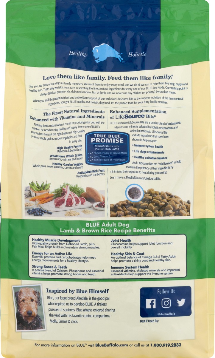 slide 3 of 12, Blue Buffalo Blue Life Protection Formula Adult Lamb and Brown Rice Recipe Food for Dogs 6 lb, 6 lb