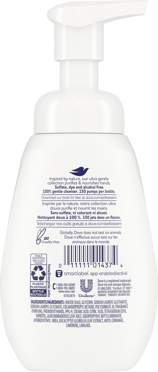 slide 2 of 3, Dove Eucalyptus Hand Wash Aloe, 1 ct