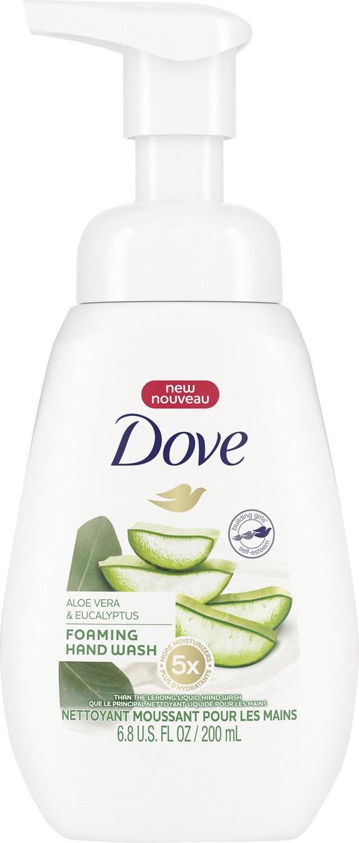 slide 3 of 3, Dove Eucalyptus Hand Wash Aloe, 1 ct