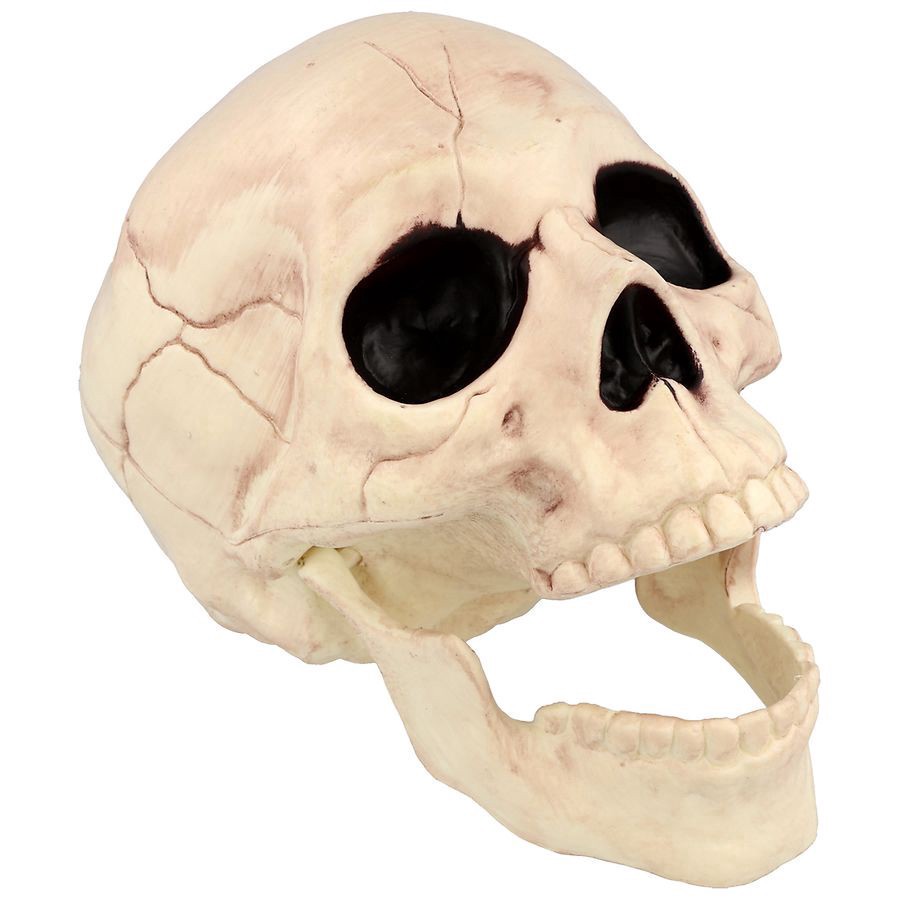 slide 5 of 5, Happy Halloween Skull Head, 1 ct