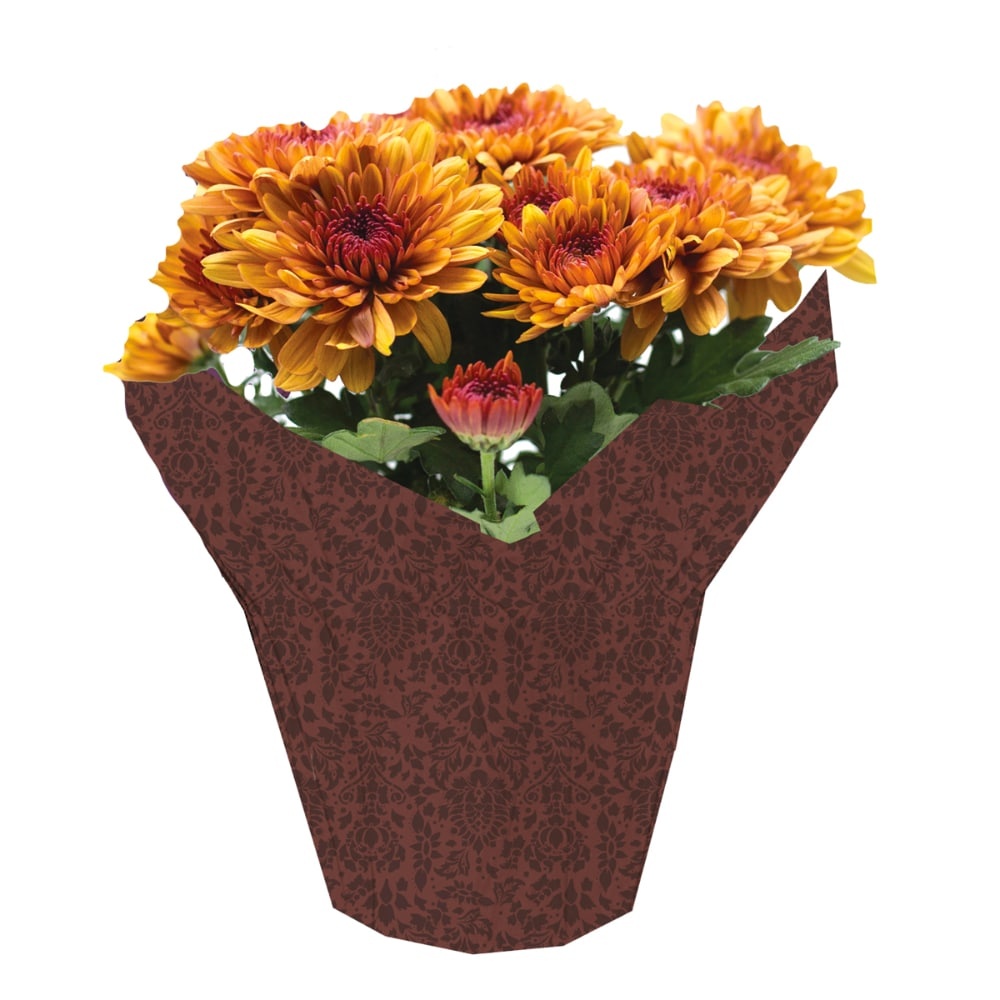slide 1 of 1, Potted Fall Chrysanthemums, 4.5 in