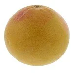Organic Grapefruit