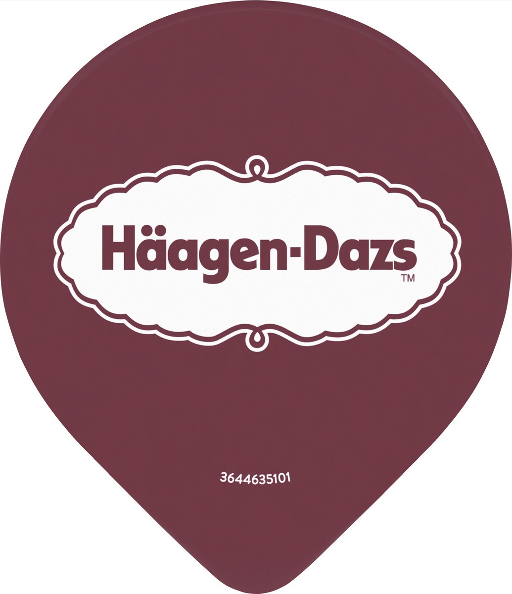 slide 13 of 13, Häagen-Dazs Haagen Dazs Cultured Cream Yogurt Style Snack, Blueberry, 4 oz Cup, 4 oz