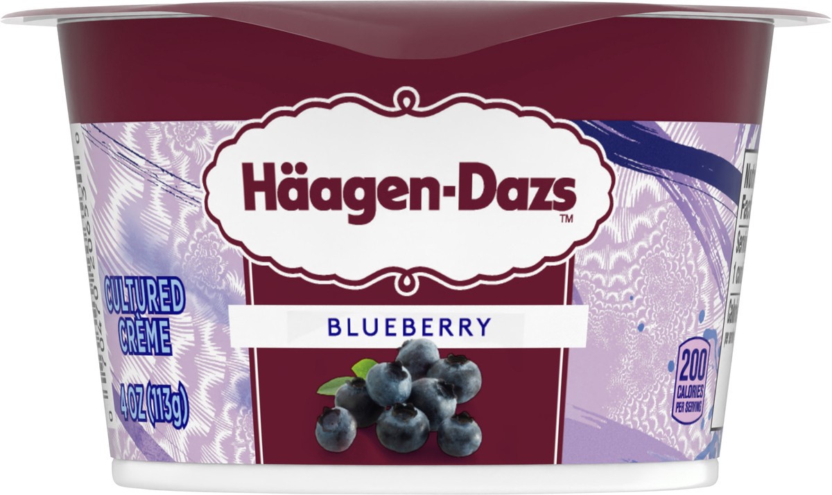 slide 10 of 13, Häagen-Dazs Haagen Dazs Cultured Cream Yogurt Style Snack, Blueberry, 4 oz Cup, 4 oz