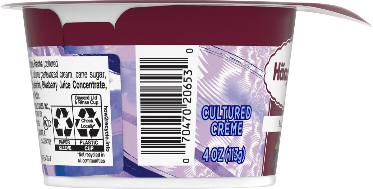 slide 12 of 13, Häagen-Dazs Haagen Dazs Cultured Cream Yogurt Style Snack, Blueberry, 4 oz Cup, 4 oz
