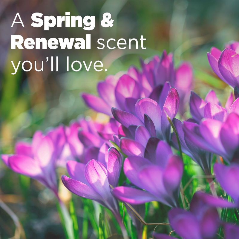 slide 8 of 9, Tide Power Pods with Febreze Laundry Detergent Pacs, 45 Count, Spring & Renewal Scent, All-Day Freshness, 45 ct