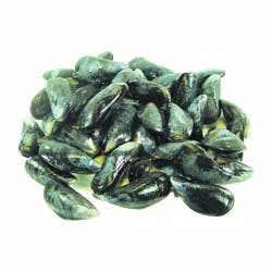 Harris Teeter Fresh Mussels