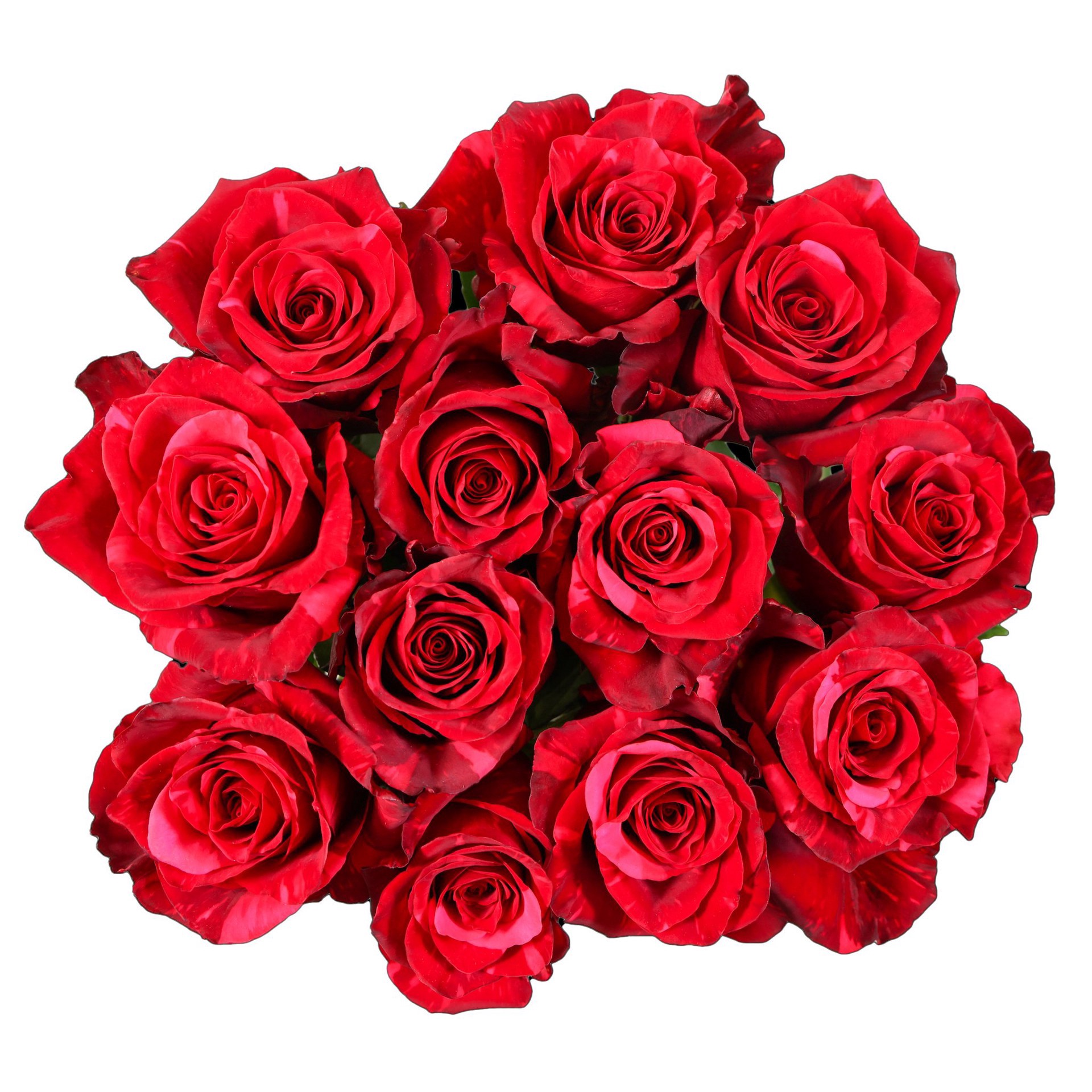 slide 1 of 1, H-E-B Blooms Dozen Red Roses, 1 ct