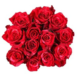 H-E-B Blooms Dozen Red Roses