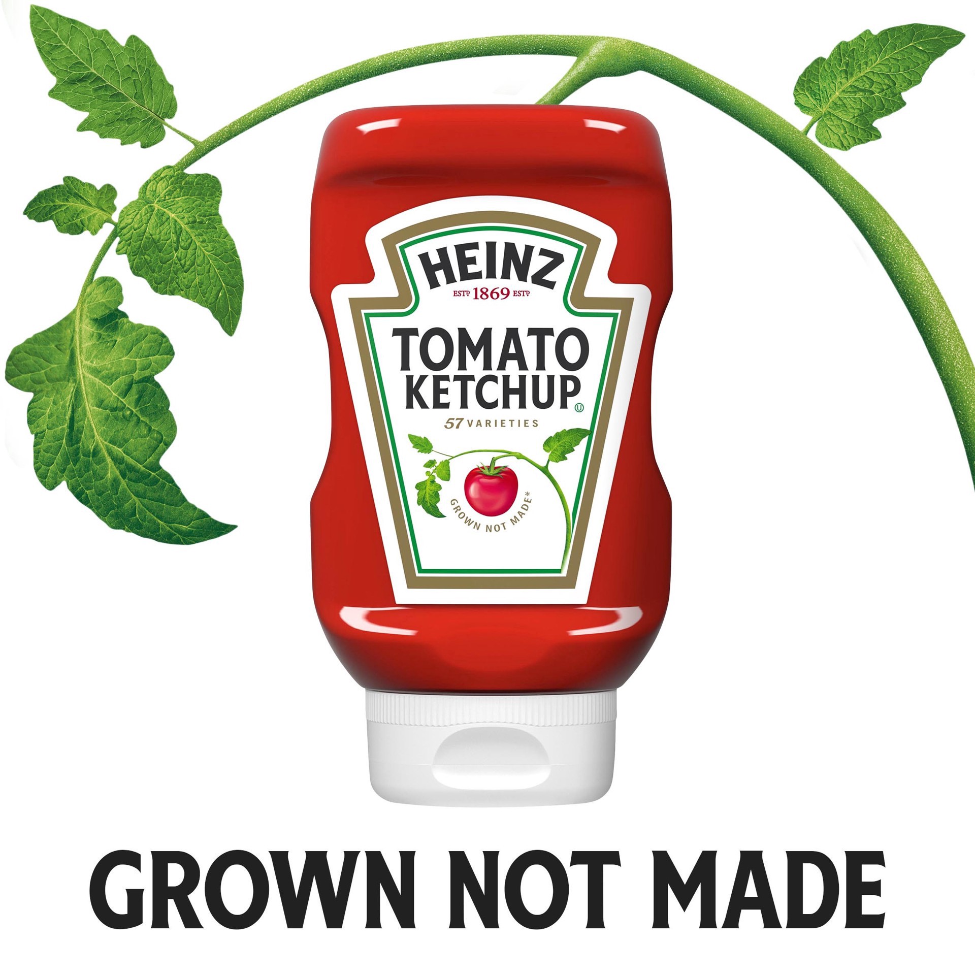 slide 7 of 12, Heinz Tomato Ketchup, 14 oz Bottle, 14 oz