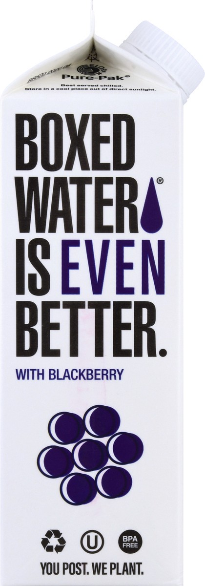 slide 5 of 13, Boxed Water is Better with Blackberry Purified Water 16.9 oz, 16.9 fl oz