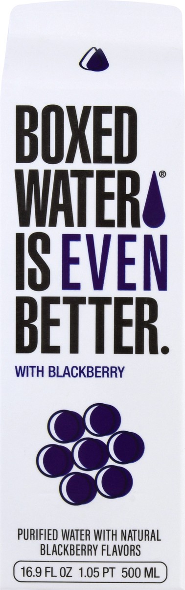 slide 6 of 13, Boxed Water is Better with Blackberry Purified Water 16.9 oz, 16.9 fl oz