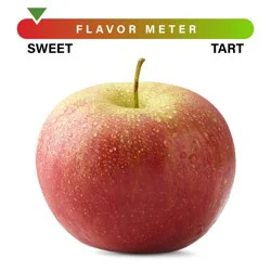 Large Fuji Apple – Each
