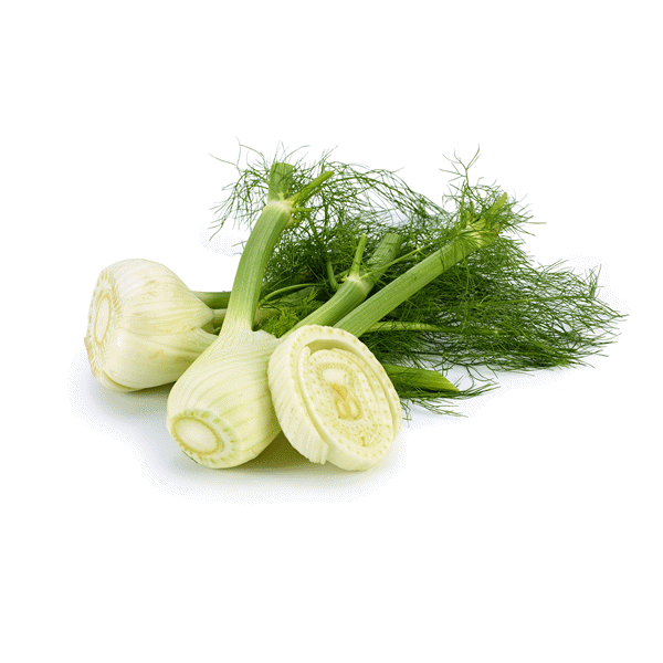 slide 1 of 1, Fennel/Anise, 1 ct