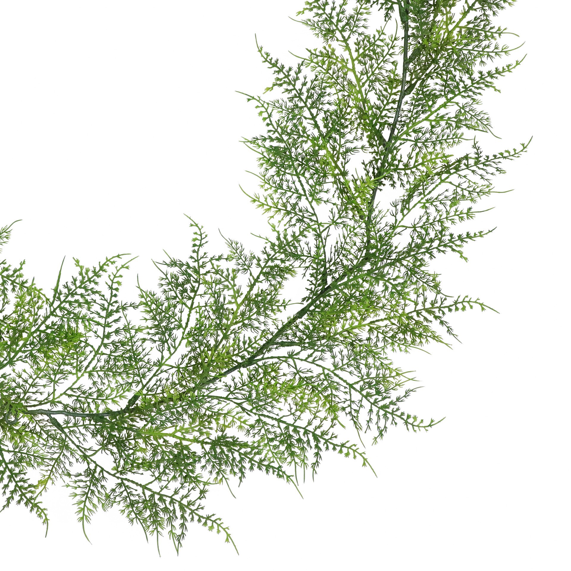 slide 2 of 3, 6ft. Forest Green Asparagus Fern Garland By Ashland, 6 ft