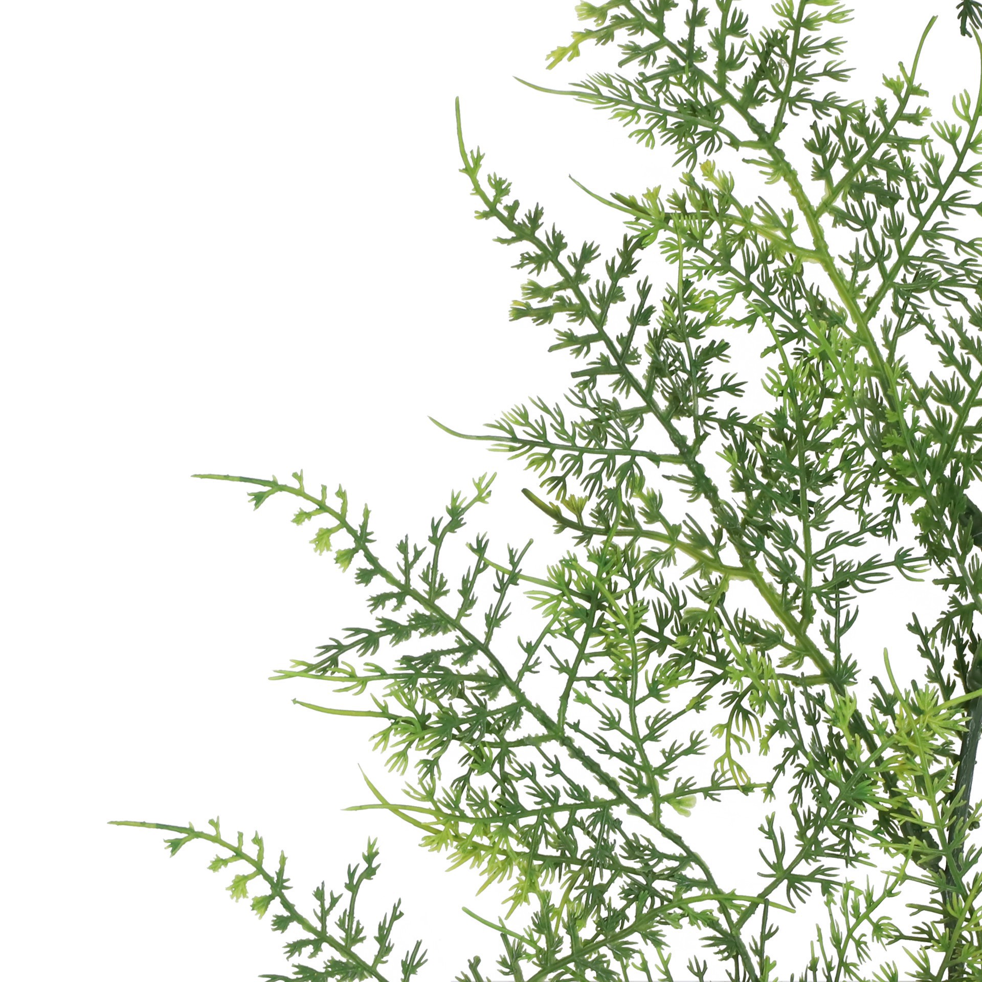 slide 3 of 3, 6ft. Forest Green Asparagus Fern Garland By Ashland, 6 ft