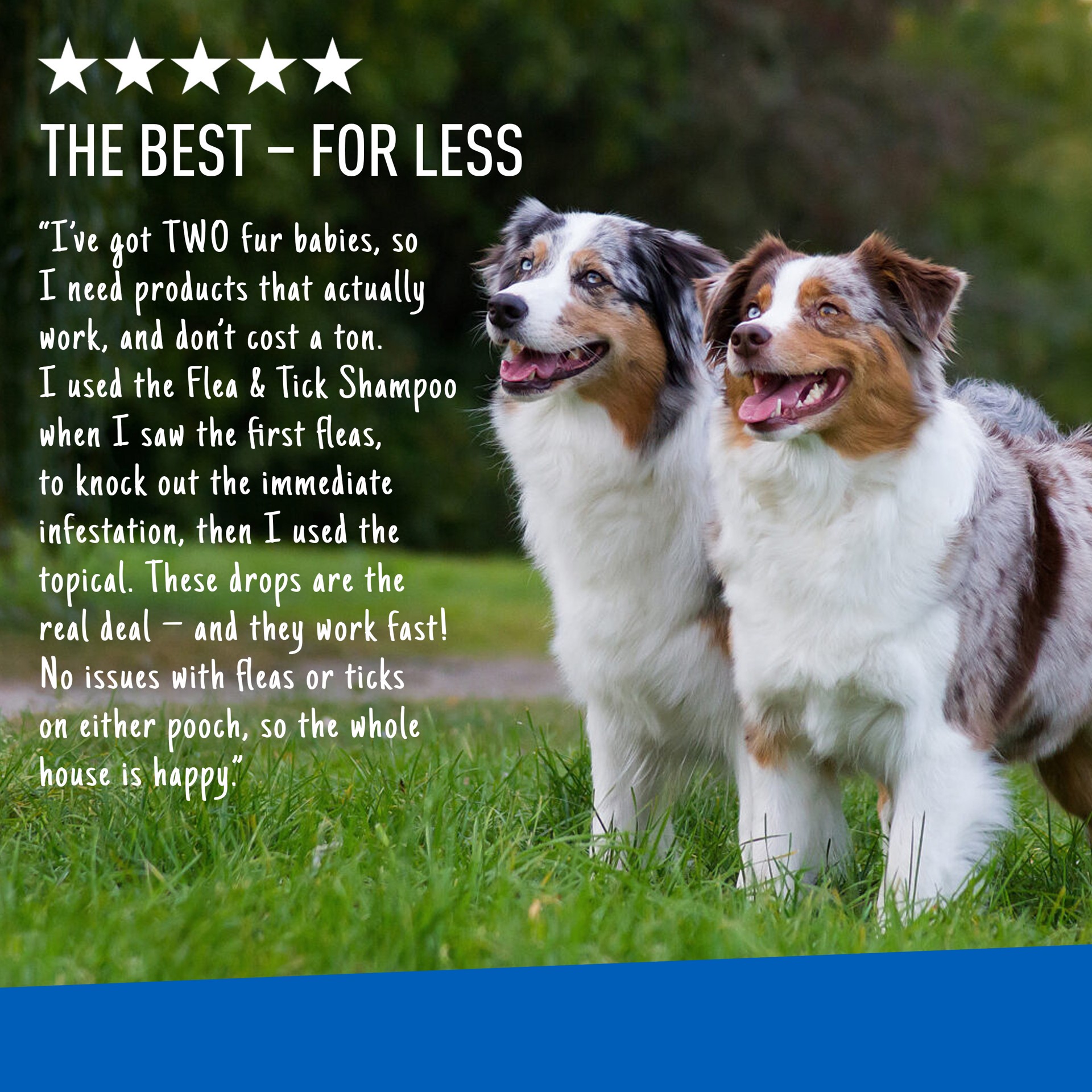 slide 9 of 9, Adams Plus Flea & Tick Prevention Spot On for Dogs, X-Large Dogs 61 to 150 lbs, 1 ct