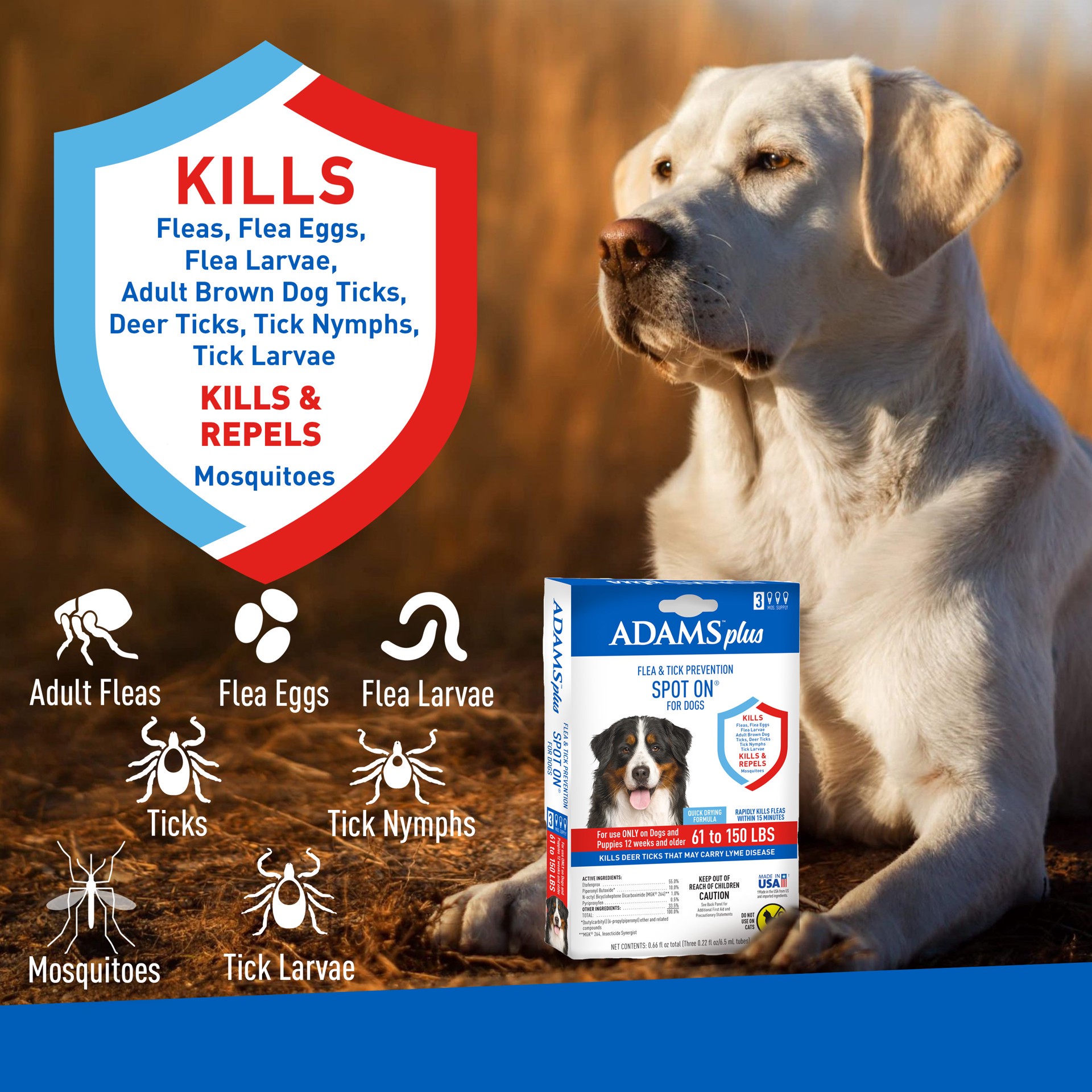 slide 7 of 9, Adams Plus Flea & Tick Prevention Spot On for Dogs, X-Large Dogs 61 to 150 lbs, 1 ct