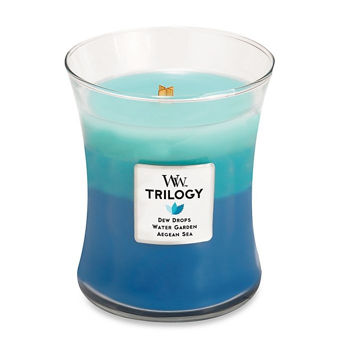 slide 1 of 1, WoodWick Trilogy Gentle Rain Jar Candle, 1 ct