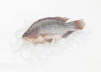 Whole Tilapia