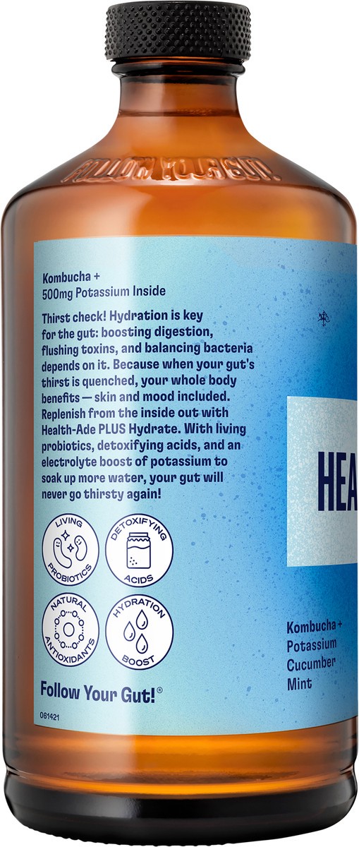 slide 3 of 9, Health-Ade Plus Hydrate Kombucha - 16 fl oz, 16 fl oz