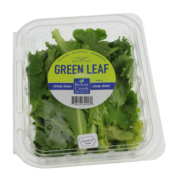 slide 1 of 1, Beaver Creek Green Leaf Lettuce, 5 oz