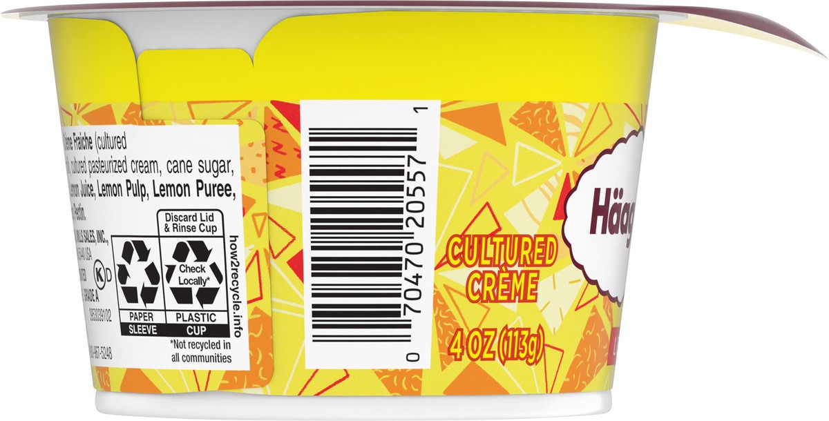 slide 14 of 14, Häagen-Dazs Haagen Dazs Cultured Cream Yogurt Style Snack, Lemon, 4 oz Cup, 4 oz