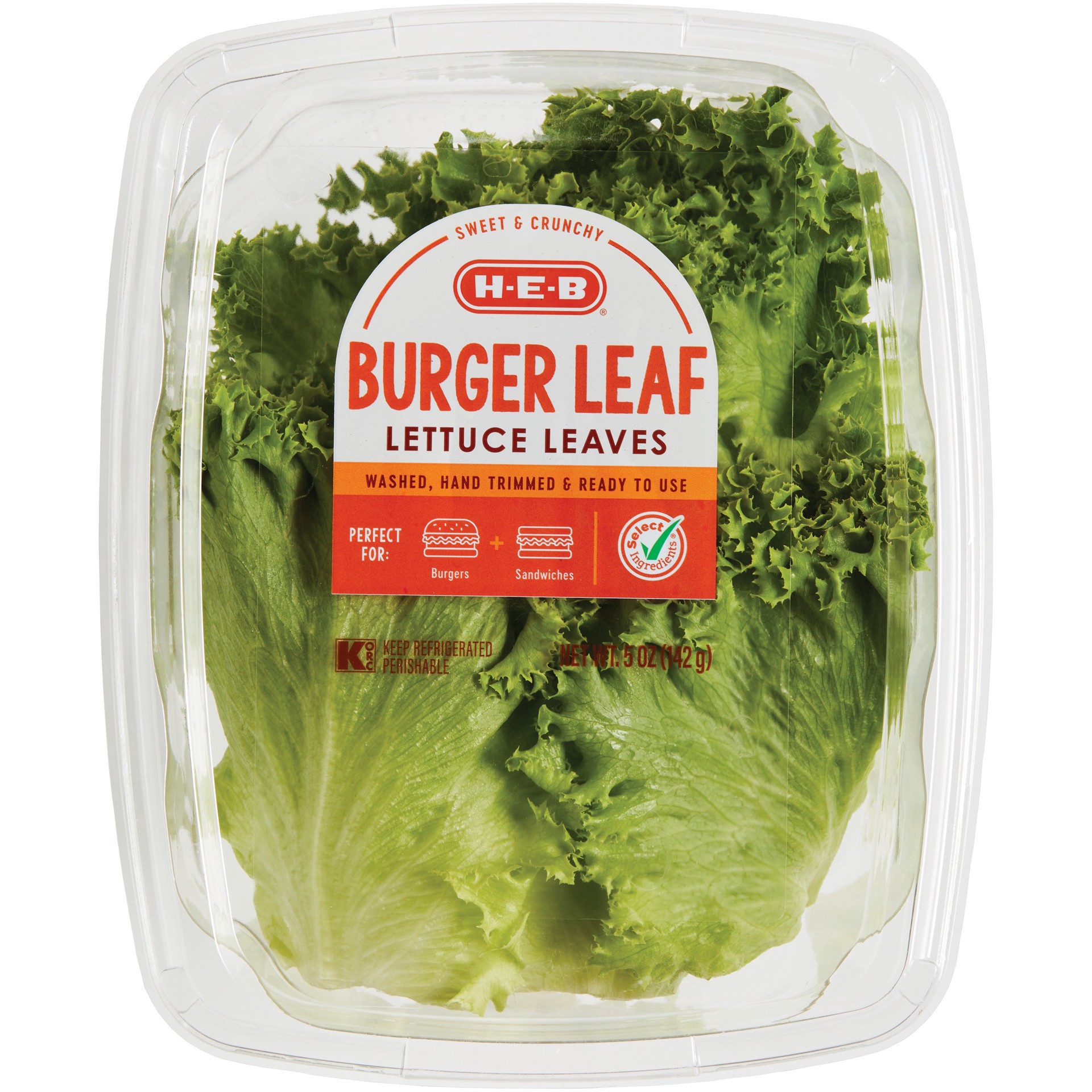 slide 1 of 1, H-E-B Fresh Burger Leaf Lettuce Leaves, 5 oz