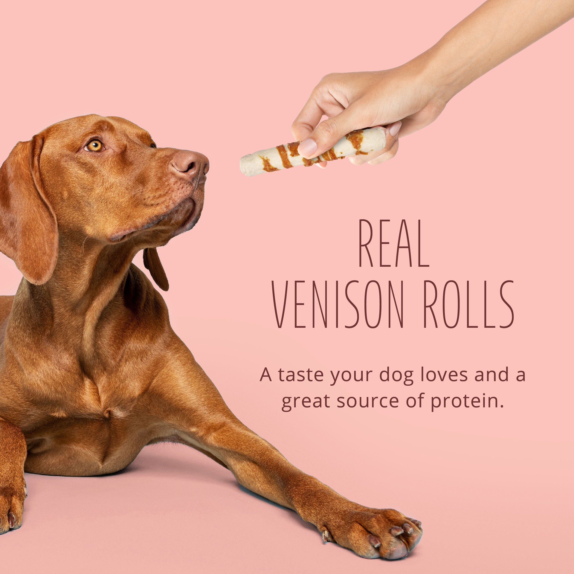 slide 4 of 10, Better Belly Proteins With Real Venison Large Rolls 3 Count, Digestible Rawhide For Dogs, 0.85 lb
