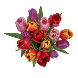 BLOOMS by H-E-B Rainbow Tulips Bouquet